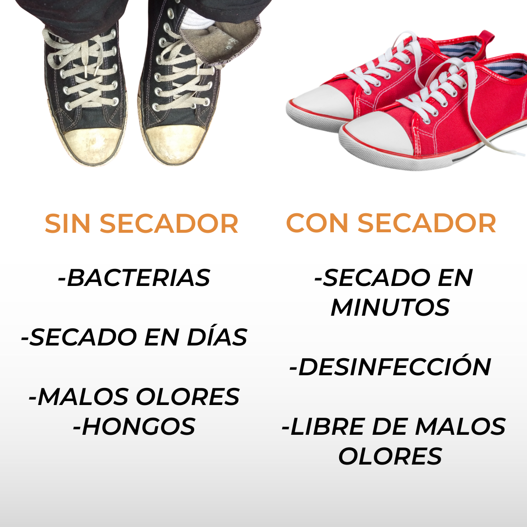 SECADOR DE ZAPATOS PÓRTATIL